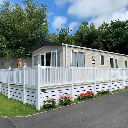 Mollys Retreat Pet Friendly Three Bed Caravan With Small Garden Newquay Bay Resort Quieter Area Of Park Eksteriør bilde